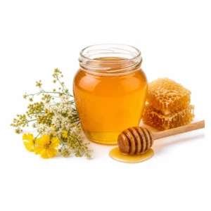 সুন্দরবনের খাঁটি মধু – প্রাকৃতিক বনজ উৎস